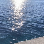 かるかんタイムズ