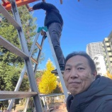 『戸田市の冬の風物詩・イルミネーション「トダイルミ」。今年の点灯第一弾は一週間後の11月30日(日)17時に後谷公園から。昨日設営作業した噴水公園は12月7日(日)に点灯します。』の画像