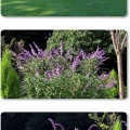 薬師池公園