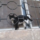 金曜日の朝のお散歩