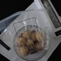 素敵にお使いいただいています♡私の使い方も【10弾キャンドゥコラボ】