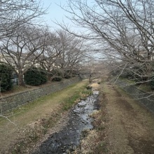 カータンBLOG あたし・主婦の頭の中 Powered by ライブドアブログ