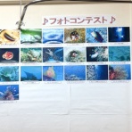 STAFF上田の日記