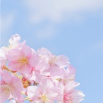 一貫塾  塾長ブログ