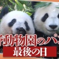 最後の「パンダ」、上野動物園を出発。54年ぶりに0頭へ