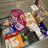 『🛒フラっと行ったコストコで、財布の感覚がバグった件〜アサイー買い占めてきた！』の画像