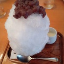 ただの日記　上野でかき氷とからみ餅を食べる