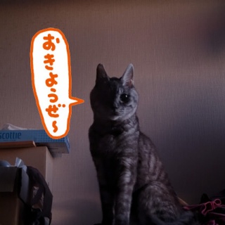 そぢん塾。