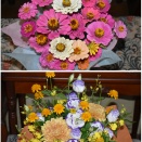 辰之介の日々 10月のお花・・・（家に来て4971日目）