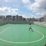 『児童会館のヒマワリ』の画像