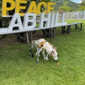 LAB HILLさんへ