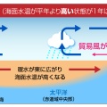 冷夏か豪雨か…エルニーニョ発生の可能性高まる　これマジ？