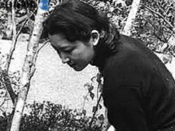 皇族方のお印 | 美智子さまの「白樺」の裏の意味とは