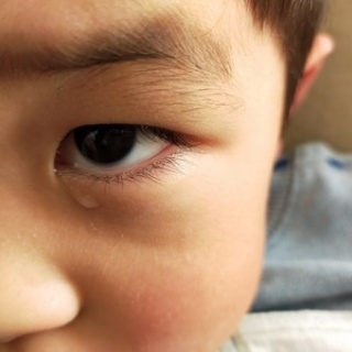 凹凸ちゃんねる　発達障害・生きにくい人のまとめ