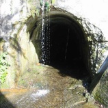 『つらら』の画像