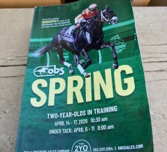 OBS・Spring2歳トレーニングセール