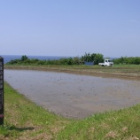 『【北鵜島】ここにしかない習わし、車田植』の画像