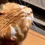 だいじろう日和。