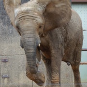激怒プンプン丸な姉妹