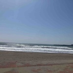 渋谷で働くスノーボーダー