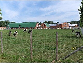 北海道江別市のパキスタン人問題の背後にある支配層の外国人工作員と直結する江別国際交流推進協議会