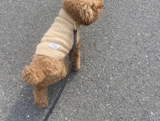 50歳直前からの英会話。遠回りして、今ここにいる