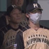 日ハムに小笠原打撃コーチが就任した結果…
