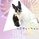 ＪＡＭにご来店♪