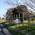 長宗我部ゆかりの若宮八幡宮