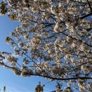 4月2日(木) (^O^)／