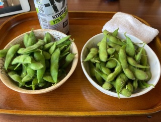 おじさんだけど枝豆収穫して食べ比べしてる【奥手】（※画像あり）
