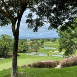 『規制緩和🙏』の画像