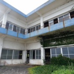 オバサンヘアーでゴーゴー