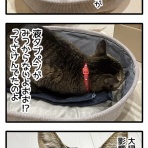 くららんち。～B型夫婦と猫２匹の日常～