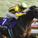 占い競馬予想　第４５回ジャパンカップ