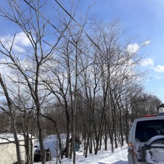 馬とニャンコと男と女