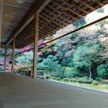 ¡Ø¡Ú1Çñ2Æü¡¡½©¤ÎµþÅÔι¹Ô¡¡¥°¥ë¥á¡õÂç¿Íι¡Û¢ÆîÁµ±¡¡Ù¤Î²èÁü