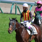 クロミちゃんの競馬日記