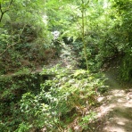 僕と彼氏の旅行記