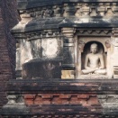 「仏教タントリズ（密教）・解明編」　第1回