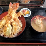 �������縶 ��Ϸ���ʤ��Ӥ�ˤ�̾ʪ ������ϷŷЧ�� �����ӡܰ�����Ϸ�������򤫤�٤β���