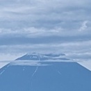朝のお散歩
