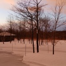 雨の予報、濃霧注意報が出ています