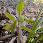 里山暮らしの雑記帳