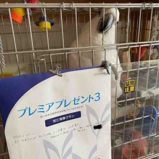 ぴっちゃん三二六