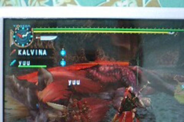 狩猟日記 捕獲か討伐どっちにするょ