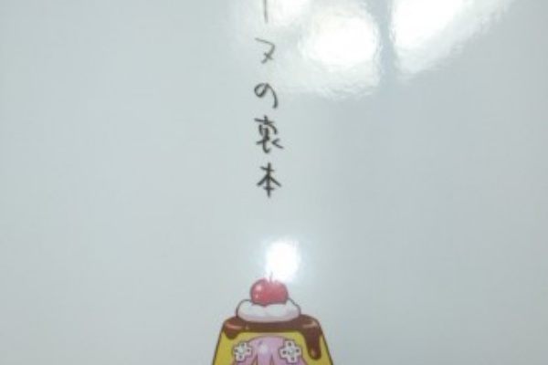 BLACKpoison5 , 攻略本、設定資料、画集