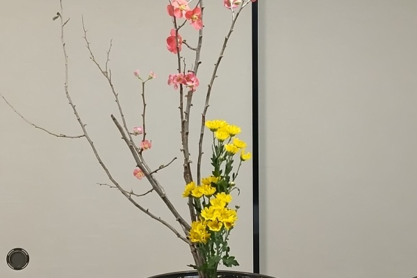 花と短歌と竹原と - 薄端（うすばた）