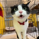 ～新年初アップみなしご日記～