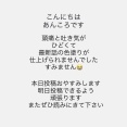 本日の投稿おやすみします🙇‍♀️